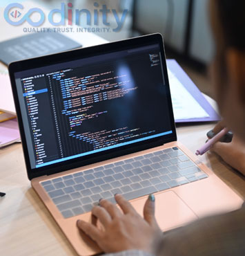 Mirax Technologies as a leading IT company in India and globally.